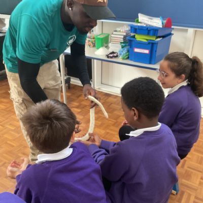 Zoolab September 2025